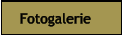 Fotogalerie